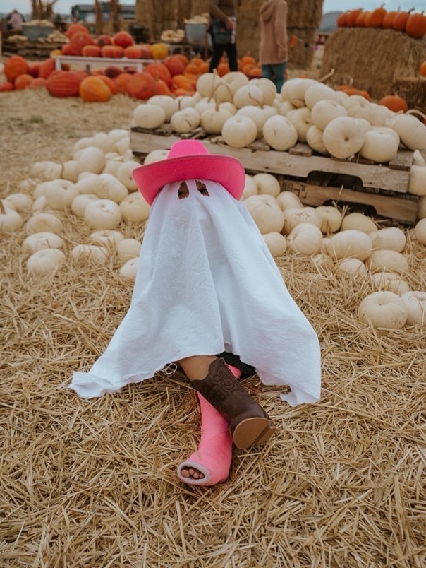 Pumpkin